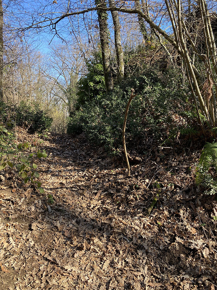 65340513-d3f8-4245-a0ac-27773c6ee43b.jpg 65340513-d3f8-4245-a0ac-27773c6ee43b.jpg