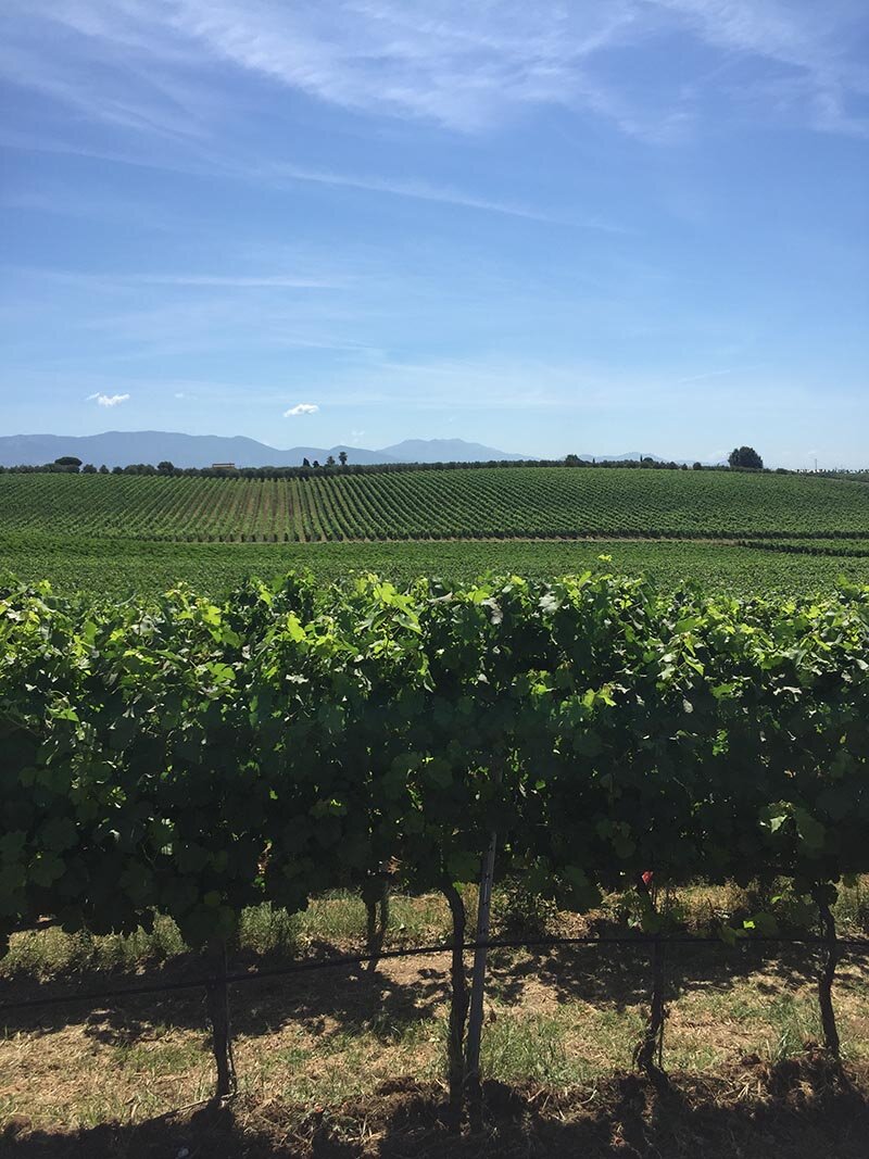 0772adcc-fe70-4330-8864-ef19b2d8180f.jpg 0772adcc-fe70-4330-8864-ef19b2d8180f.jpg