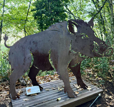 difuso-museo-bosco-cingale.jpeg difuso-museo-bosco-cingale.jpeg