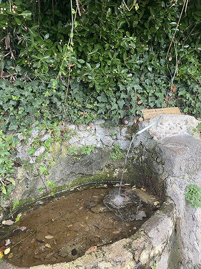 7d511fc6-dab8-445a-b92d-deb8add3f897.jpg 7d511fc6-dab8-445a-b92d-deb8add3f897.jpg