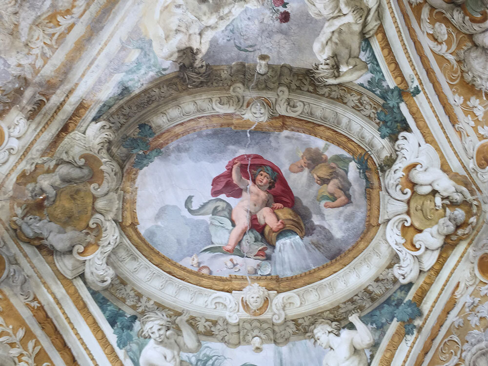 8d984411-d7b7-4234-8701-f7e46af2b0ca.jpg 8d984411-d7b7-4234-8701-f7e46af2b0ca.jpg