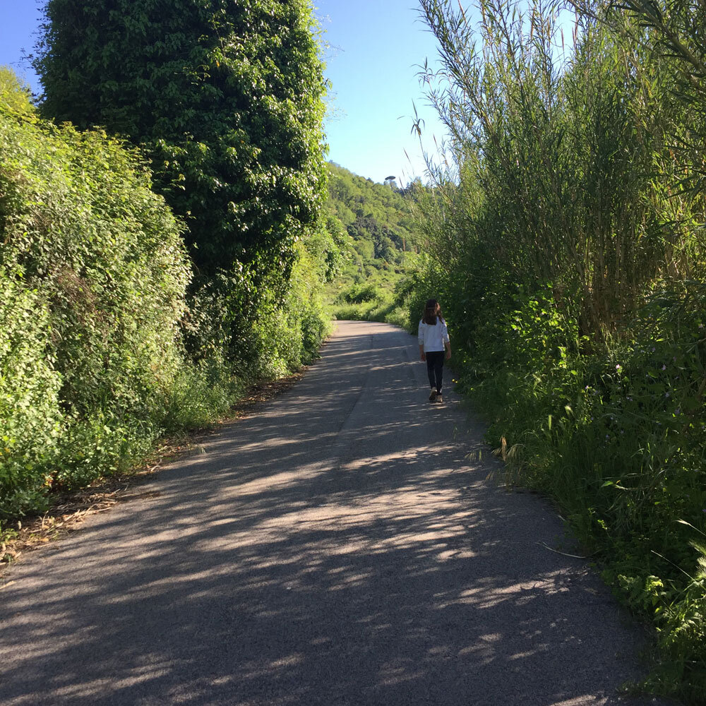 1cb70bac-401b-4dfd-ad1b-8f9731cfdbe4.jpg 1cb70bac-401b-4dfd-ad1b-8f9731cfdbe4.jpg