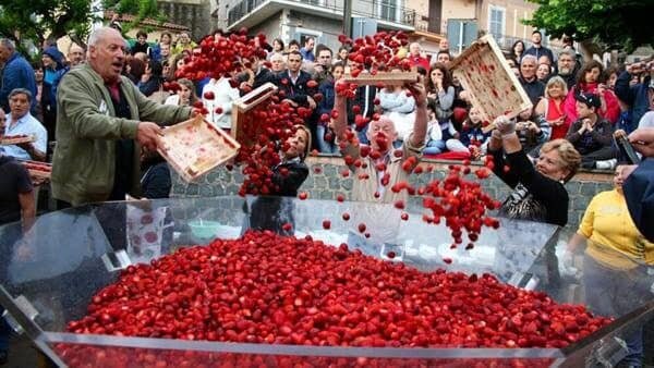 b6104a09-fba5-4e91-8638-5e02cc2ab55b.jpg b6104a09-fba5-4e91-8638-5e02cc2ab55b.jpg