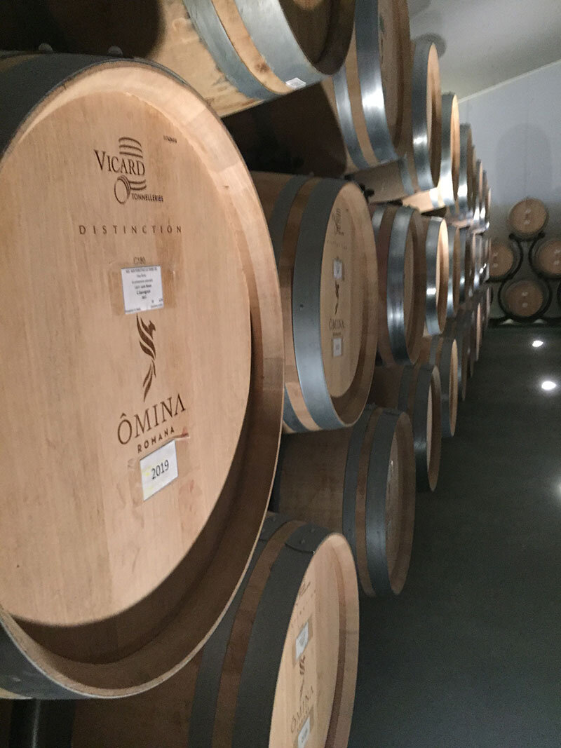 Ômina Romana: The Wine Phoenix Rises Ômina Romana: The Wine Phoenix Rises