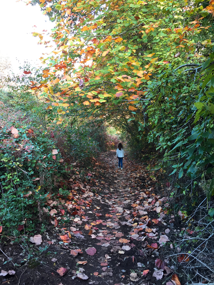 38685873-5645-4720-bffd-800b6c165efd.png 38685873-5645-4720-bffd-800b6c165efd.png