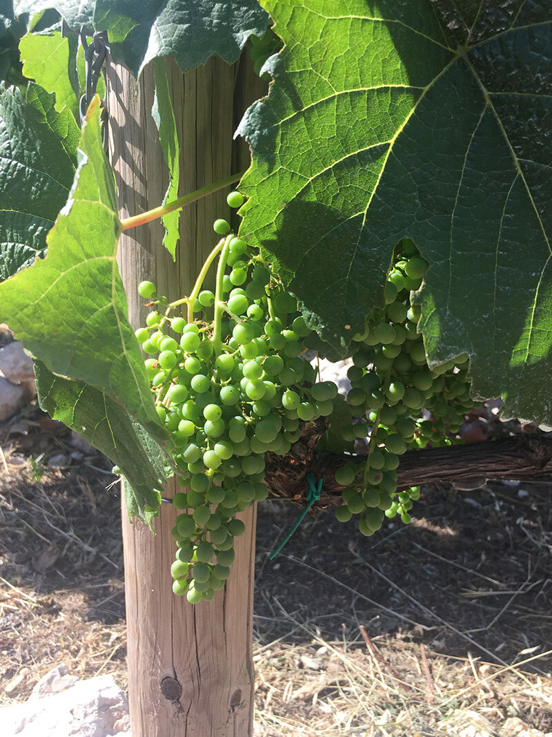 05e72b2a-ce3c-4a56-a9a5-f57ca405adda.jpg 05e72b2a-ce3c-4a56-a9a5-f57ca405adda.jpg