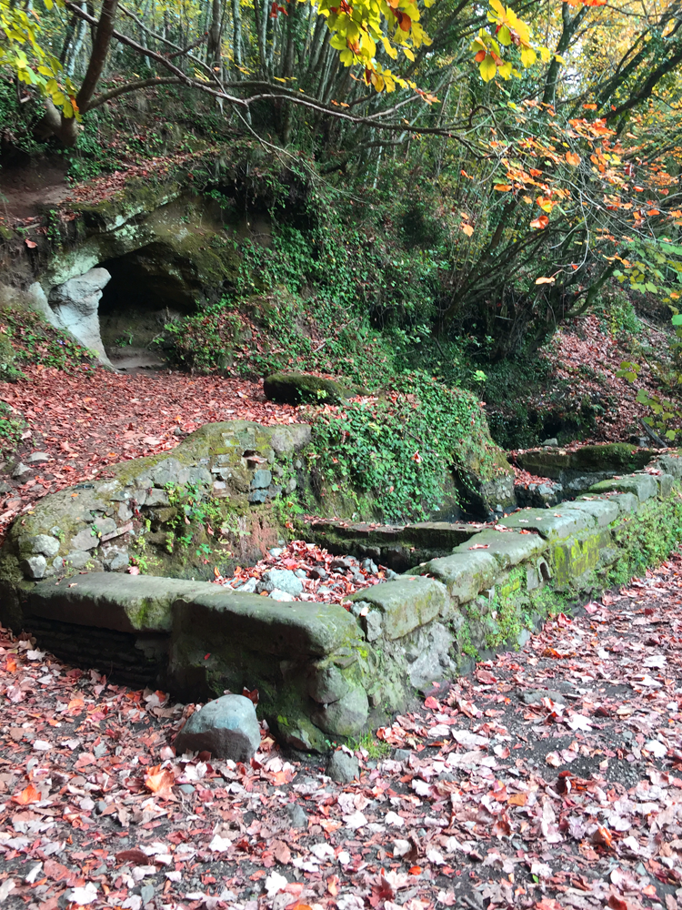 49236cb6-d4b4-470a-aa57-b31dadec48af.png 49236cb6-d4b4-470a-aa57-b31dadec48af.png