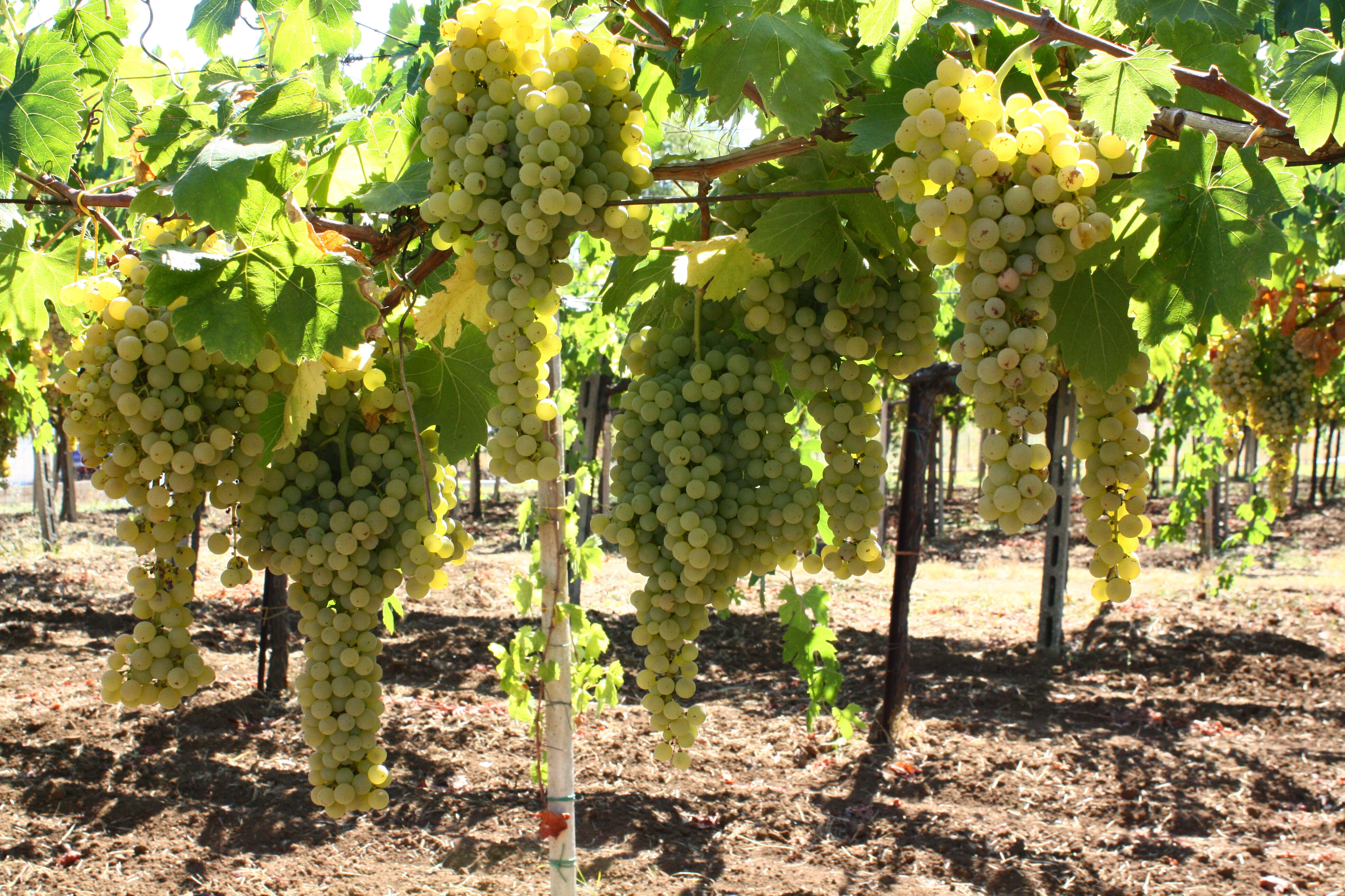 0b5d519f-c08e-46ac-9841-a7c39c3cf67a.jpg 0b5d519f-c08e-46ac-9841-a7c39c3cf67a.jpg