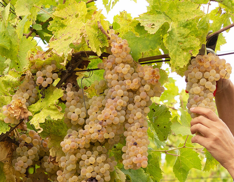 8295a91f-89db-4ea8-86f8-944f99138690.jpg 8295a91f-89db-4ea8-86f8-944f99138690.jpg