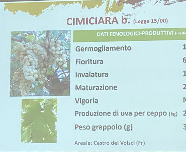 5cbf8dbd-c847-457e-a237-194dd7b8f813.jpg 5cbf8dbd-c847-457e-a237-194dd7b8f813.jpg