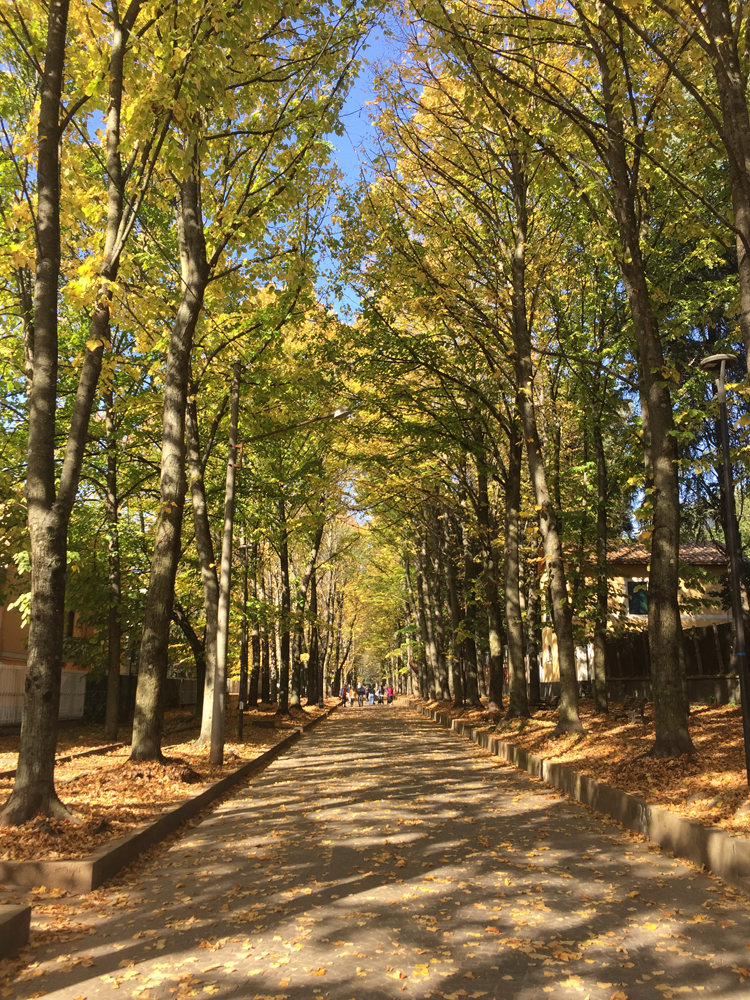 73005d51-232c-46cb-8b65-50fc91042824.png 73005d51-232c-46cb-8b65-50fc91042824.png