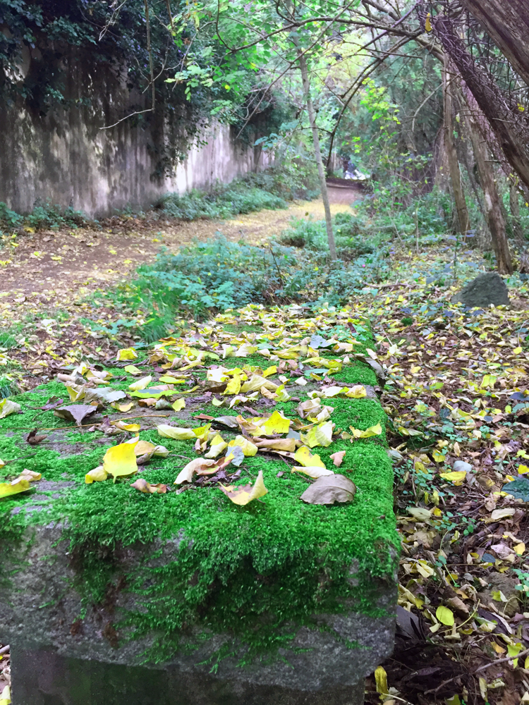 08fad410-d7f3-49bc-8907-863bba9f9f60.png 08fad410-d7f3-49bc-8907-863bba9f9f60.png