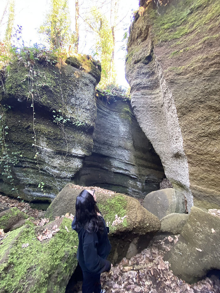 b731850f-ec30-4a95-b11e-b5ed735e0c05.jpg b731850f-ec30-4a95-b11e-b5ed735e0c05.jpg