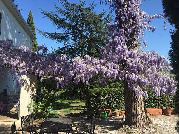 caef9df0-ed61-4e5d-99db-a2fc6e044e8c.jpg caef9df0-ed61-4e5d-99db-a2fc6e044e8c.jpg