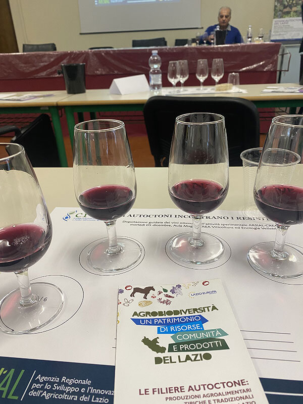 05f5fee2-cf78-4ee8-9ddd-68301226bad5.jpg 05f5fee2-cf78-4ee8-9ddd-68301226bad5.jpg