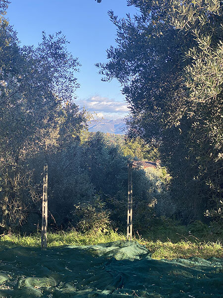 44e52f06-0c0d-41fe-8406-0379232299d1.jpg 44e52f06-0c0d-41fe-8406-0379232299d1.jpg