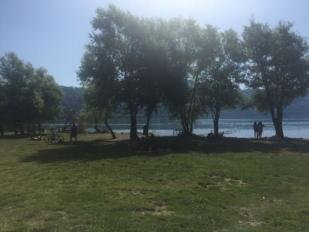 6ccc55d9-6a82-4c79-bd42-ba0d6d7190f5.jpg 6ccc55d9-6a82-4c79-bd42-ba0d6d7190f5.jpg