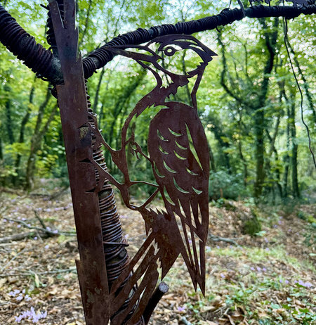 difuso-museo-bosco-woodpecker.jpeg difuso-museo-bosco-woodpecker.jpeg