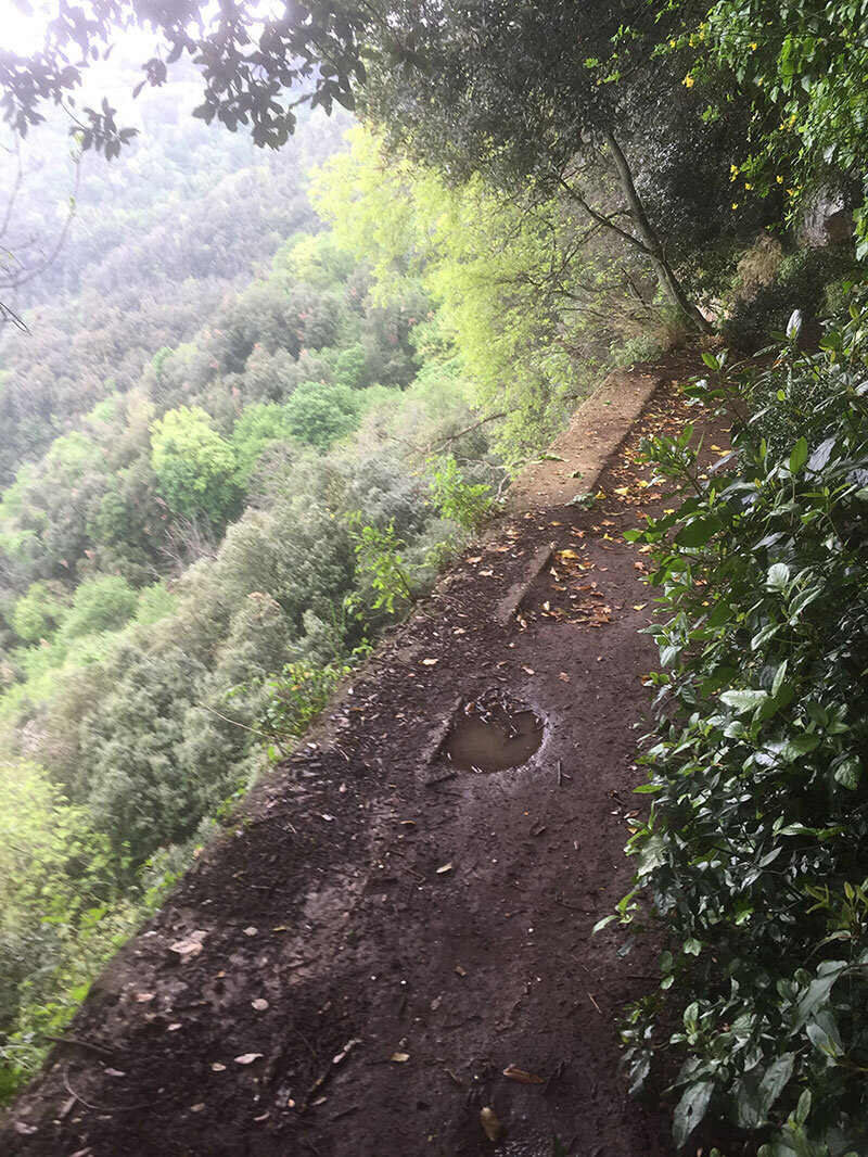 67836ba5-bd81-4d42-8952-8a4e4c0b058a.jpg 67836ba5-bd81-4d42-8952-8a4e4c0b058a.jpg