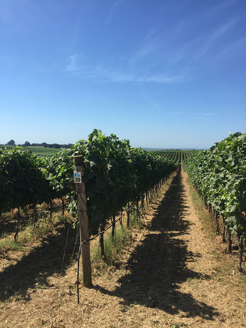 04fe038b-76e8-45b0-9853-650c47ba3d26.jpg 04fe038b-76e8-45b0-9853-650c47ba3d26.jpg