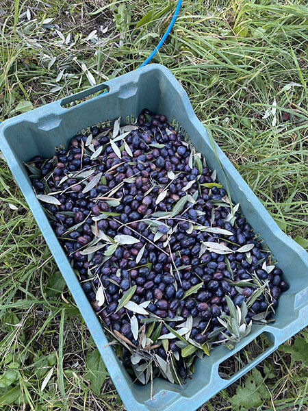 2096ce6b-82c0-4e20-a100-bf79a3b7c779.jpg 2096ce6b-82c0-4e20-a100-bf79a3b7c779.jpg