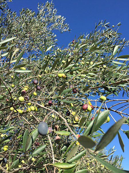 07875240-3748-46e7-a0f9-147209ab0d2a.jpg 07875240-3748-46e7-a0f9-147209ab0d2a.jpg