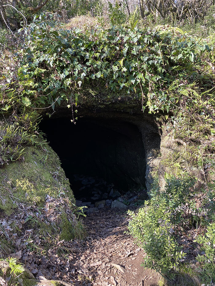 37e74fea-6219-4157-92e4-d16fa06e7d62.jpg 37e74fea-6219-4157-92e4-d16fa06e7d62.jpg