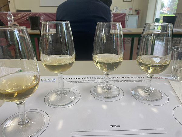 d7ae927c-e7f8-43d7-a578-c56e1dfe78af.jpg d7ae927c-e7f8-43d7-a578-c56e1dfe78af.jpg