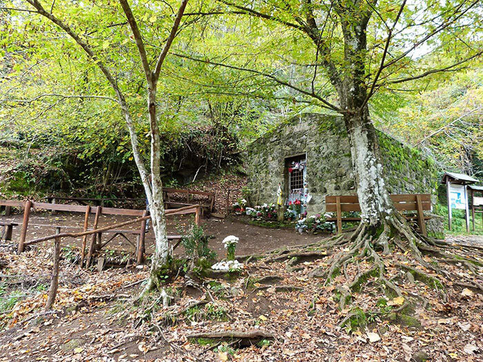 5d7cf287-696b-483d-b27c-265dd612078a.jpg 5d7cf287-696b-483d-b27c-265dd612078a.jpg