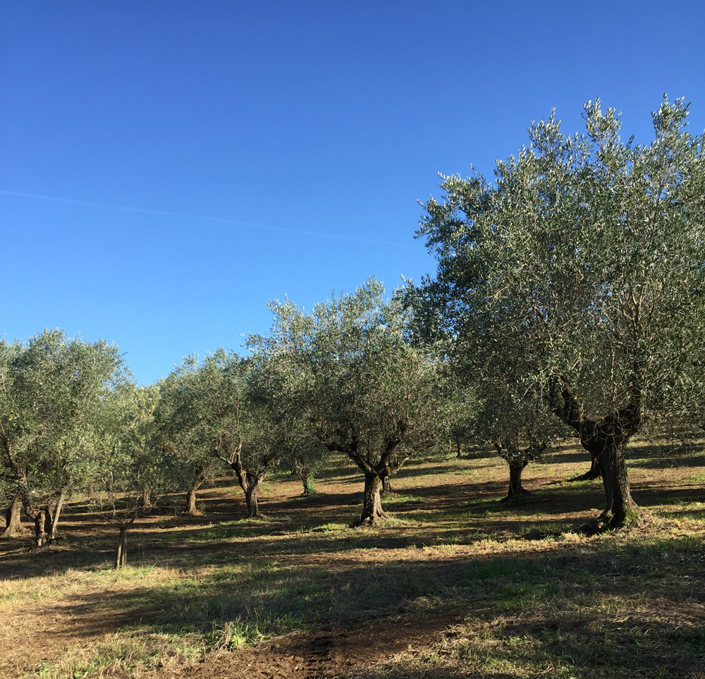 041b071a-d9f9-4540-8d08-f501a483c2a7.png 041b071a-d9f9-4540-8d08-f501a483c2a7.png