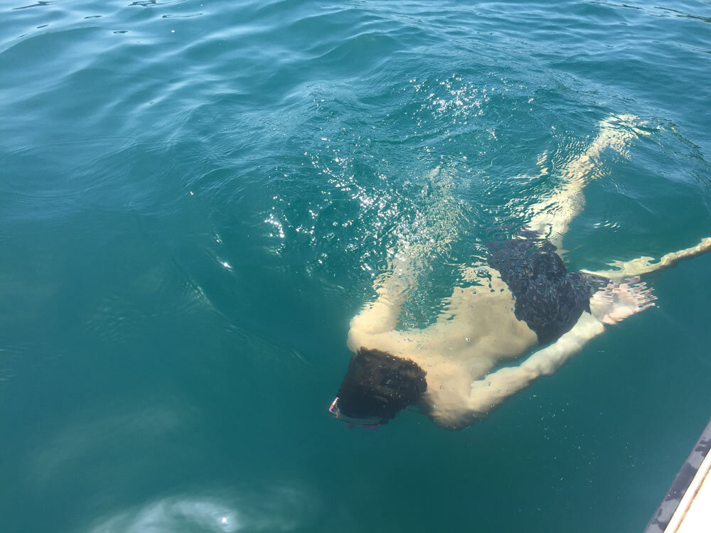 47c06f3b-673c-415f-a23c-4ad294c8fe24.jpg 47c06f3b-673c-415f-a23c-4ad294c8fe24.jpg