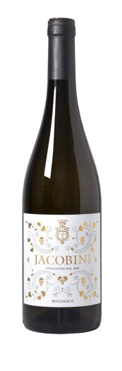 cd09db4b5f172efac30b15e00702eec4fec49016.jpeg cd09db4b5f172efac30b15e00702eec4fec49016.jpeg