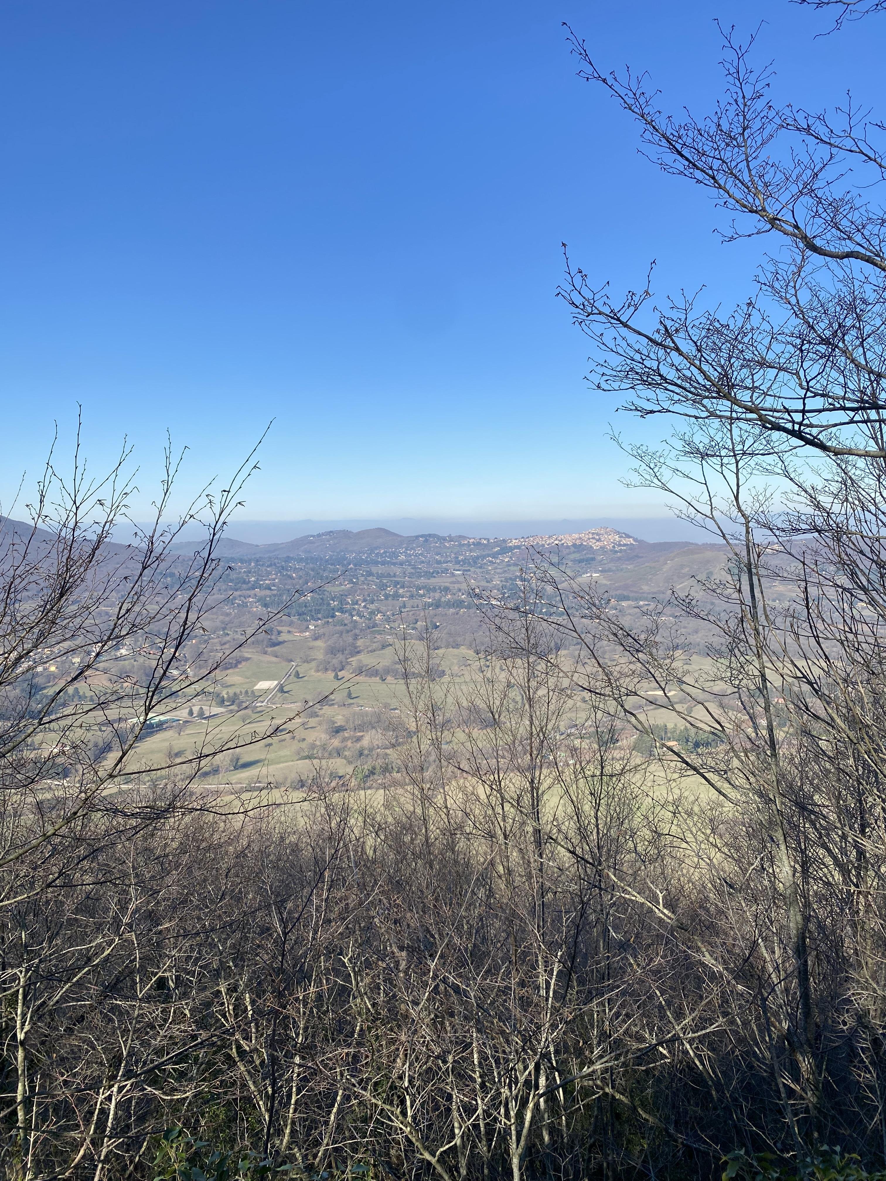 93466b3d-ec25-4216-b939-09b70ad3fe11.jpg 93466b3d-ec25-4216-b939-09b70ad3fe11.jpg