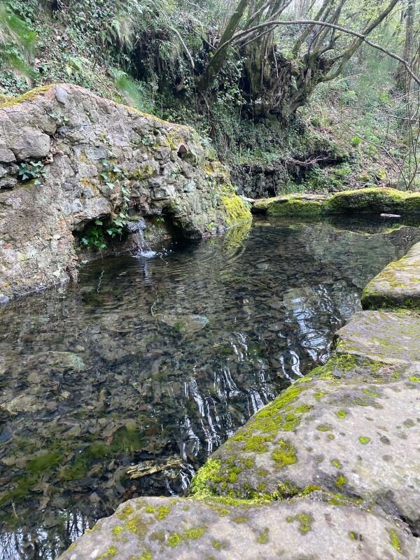 Running to Fontana Tempesta: Where Spring Comes Back to Life