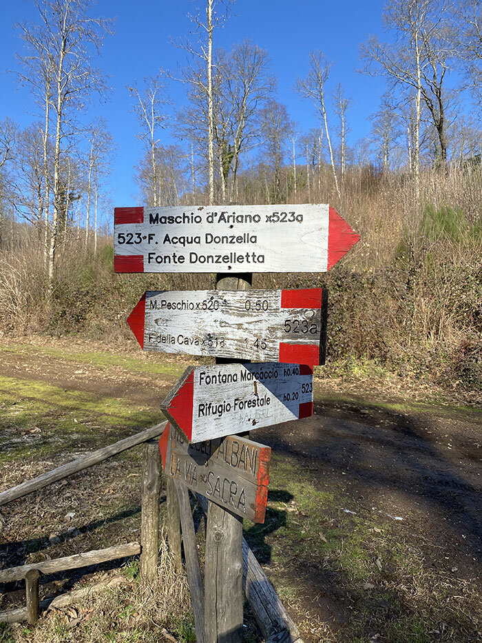 7ddbb0ca-2346-4cbd-a906-7b793864e8d4.jpg 7ddbb0ca-2346-4cbd-a906-7b793864e8d4.jpg