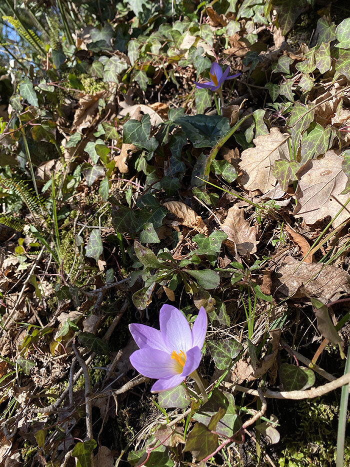 fe06823b-df0a-428f-8442-bee66d5e09f5.jpg fe06823b-df0a-428f-8442-bee66d5e09f5.jpg