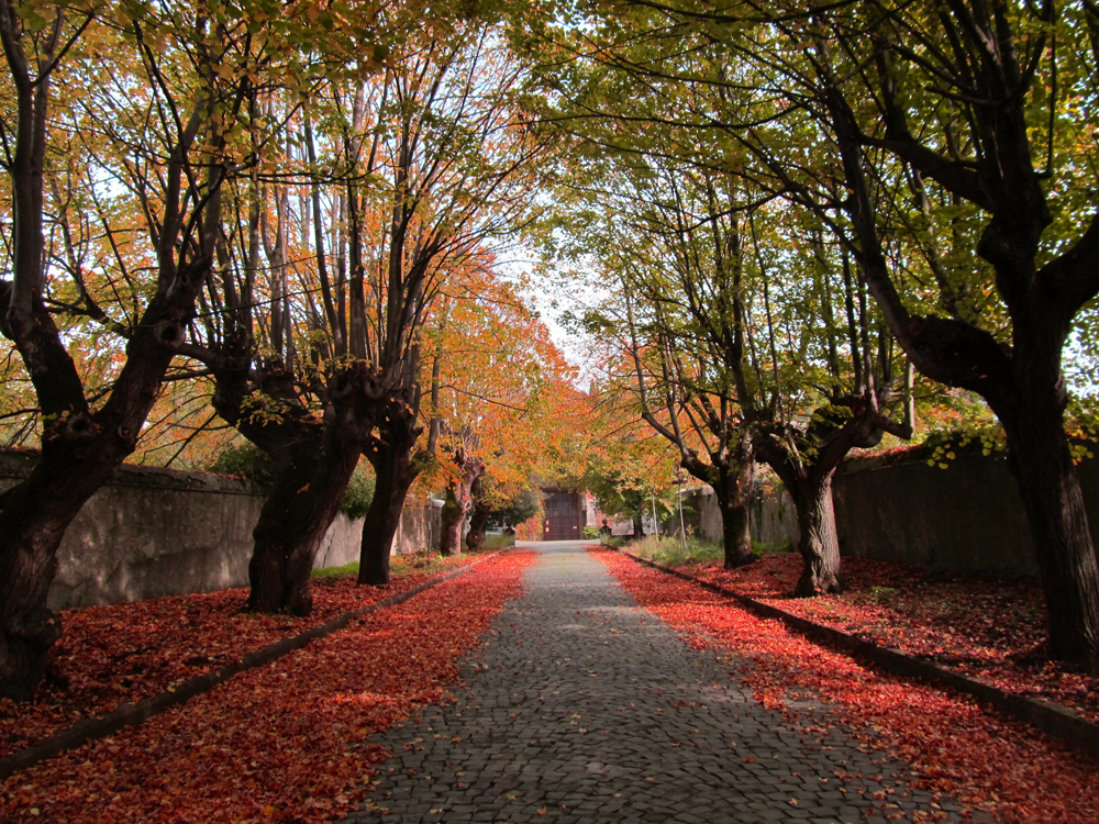 f50db44f-1e5d-4cc8-ab4b-f3b5e8716d48.png f50db44f-1e5d-4cc8-ab4b-f3b5e8716d48.png