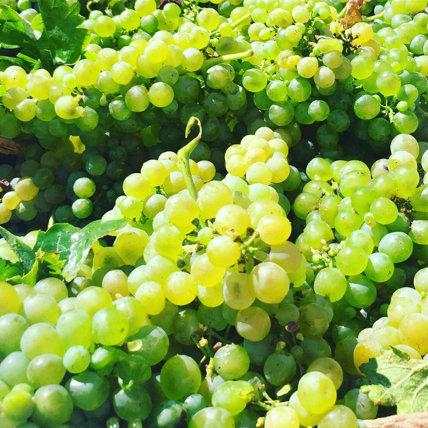 e7115d7c-68e5-46cc-b822-98a93db53cdf.jpg e7115d7c-68e5-46cc-b822-98a93db53cdf.jpg