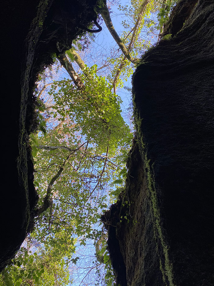 906367d9-ebc2-4d36-8e02-f1263325d456.jpg 906367d9-ebc2-4d36-8e02-f1263325d456.jpg