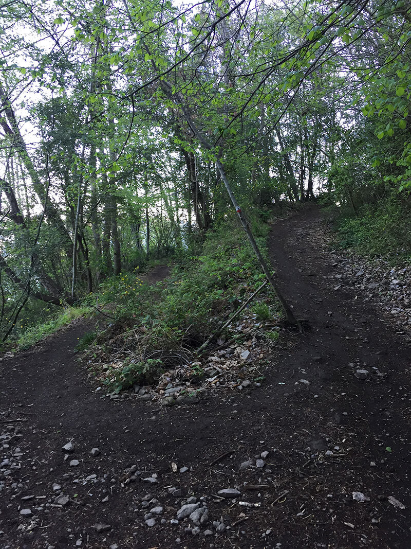 4926b4e5-e8eb-467f-a81c-efb2918bb094.jpg 4926b4e5-e8eb-467f-a81c-efb2918bb094.jpg