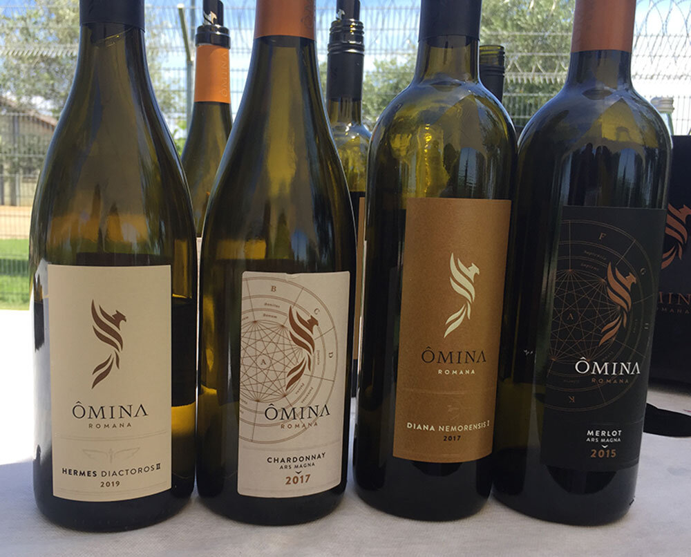 5bf29754-972f-4746-98e9-b68ac479ba16.jpg 5bf29754-972f-4746-98e9-b68ac479ba16.jpg