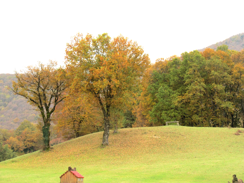 377707c5-7964-4492-bf02-e637dd87514b.png 377707c5-7964-4492-bf02-e637dd87514b.png