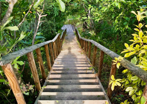 copia%20di%20beige%20minimalista%20motivaciÃ³n%20publicaciÃ³n%20de%20instagram%20(7)