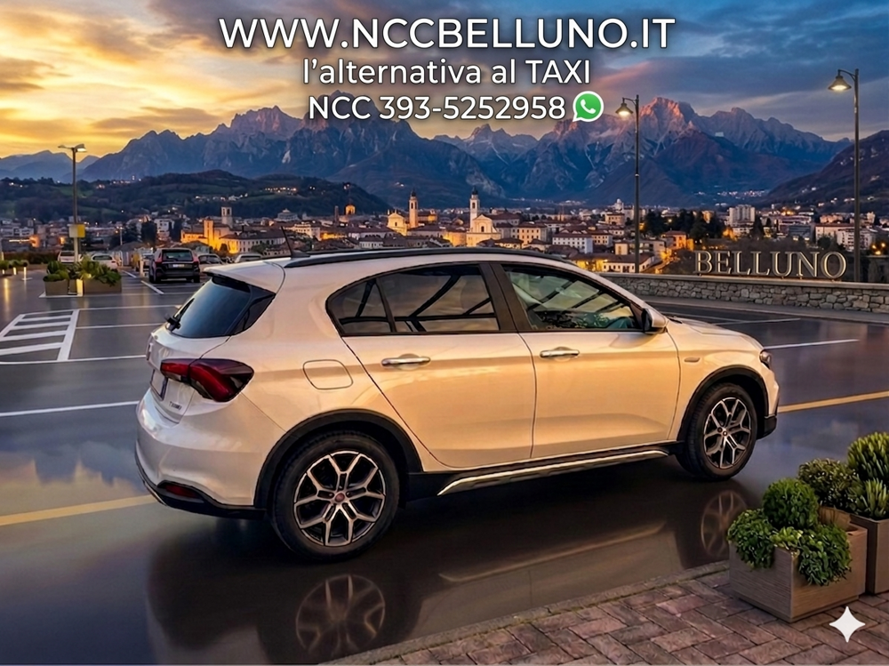 NOLEGGIO CON CONDUCENTE BELLUNO