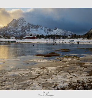 143e06f880a4d3c08fc1afe1429c3955a266b509