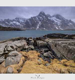 a55783c75eea98b3002b0039a23dcd2de13cf8dc