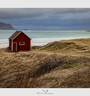 4903dec13dc24aa5620d202008d2d1bca78a4d52