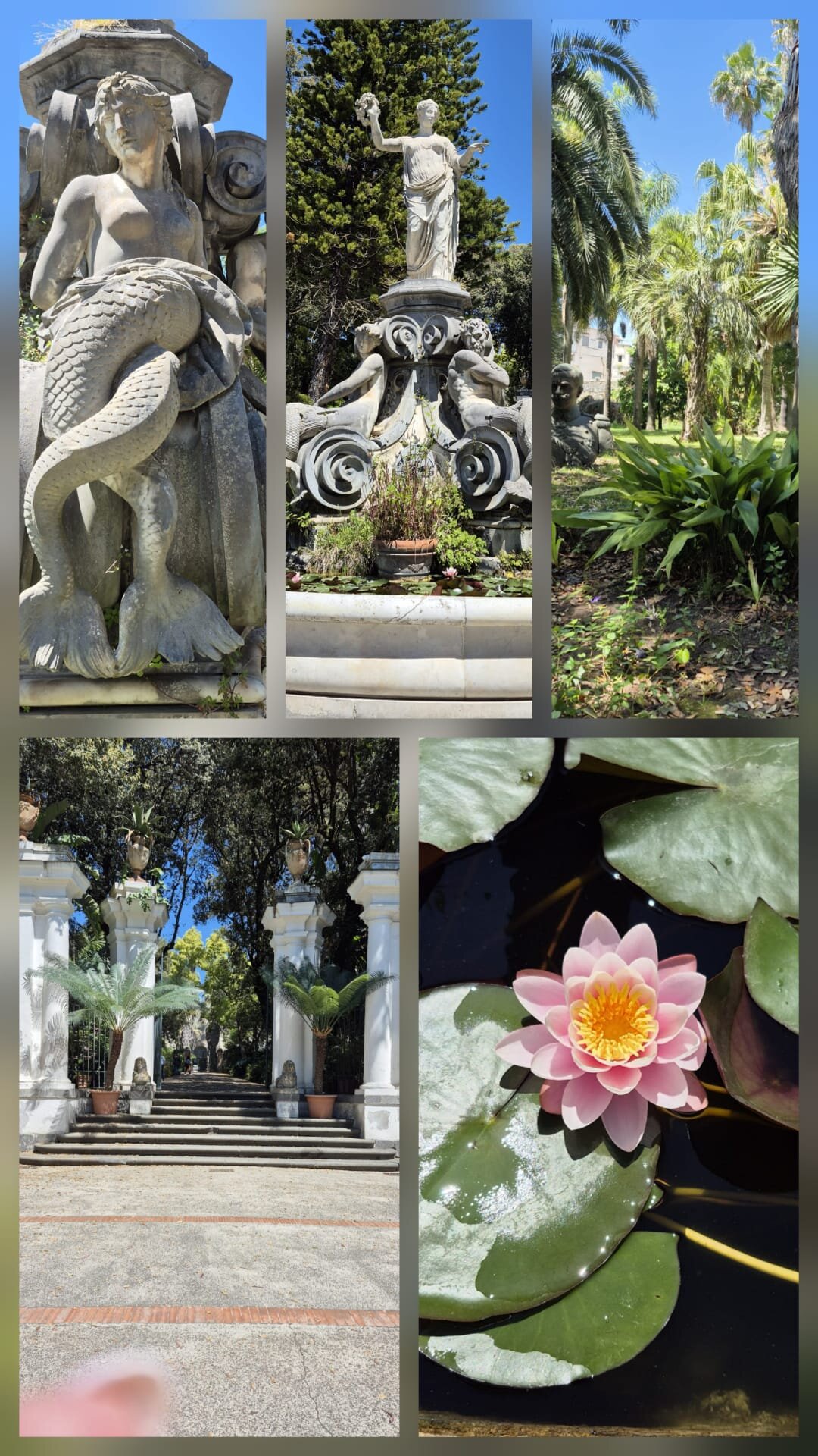 collage-4.jpeg collage-4.jpeg