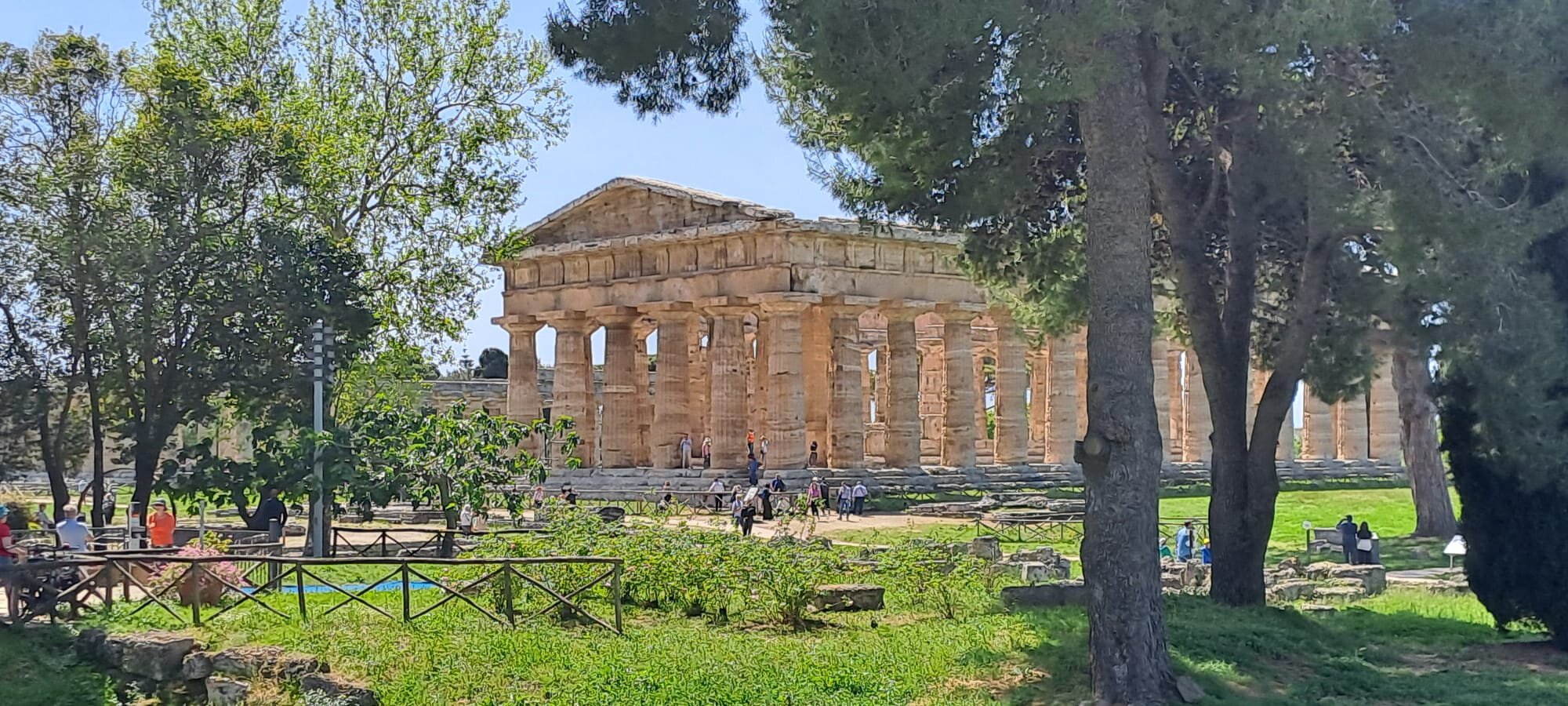 e3847c43-2825-429b-bbf3-accc6f96e445.jpeg e3847c43-2825-429b-bbf3-accc6f96e445.jpeg