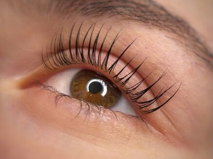 e224408a1d2513aa2b927dc5f0bf9c9a38eafe54